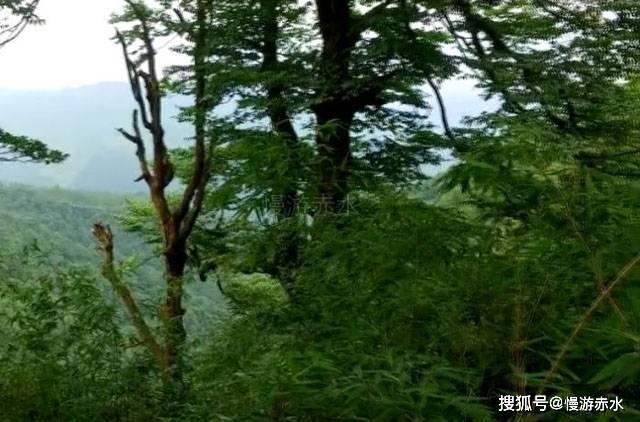 她的故事