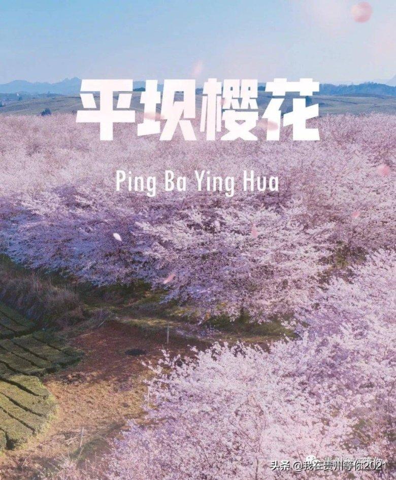 词作:水龙吟